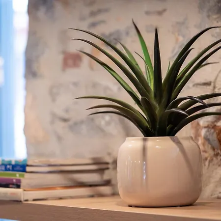 Nest In The * Волос